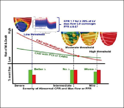 Heartsee quantitative analysis of absolute myocardial blood flow