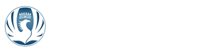 北京雷鸟科技